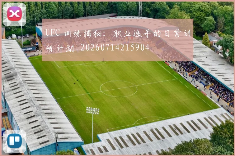UFC 训练揭秘:职业选手的日常训练计划_20260714215904